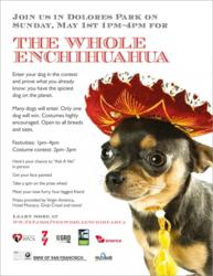 Whole Enchihuahua Flyer SF SPCA